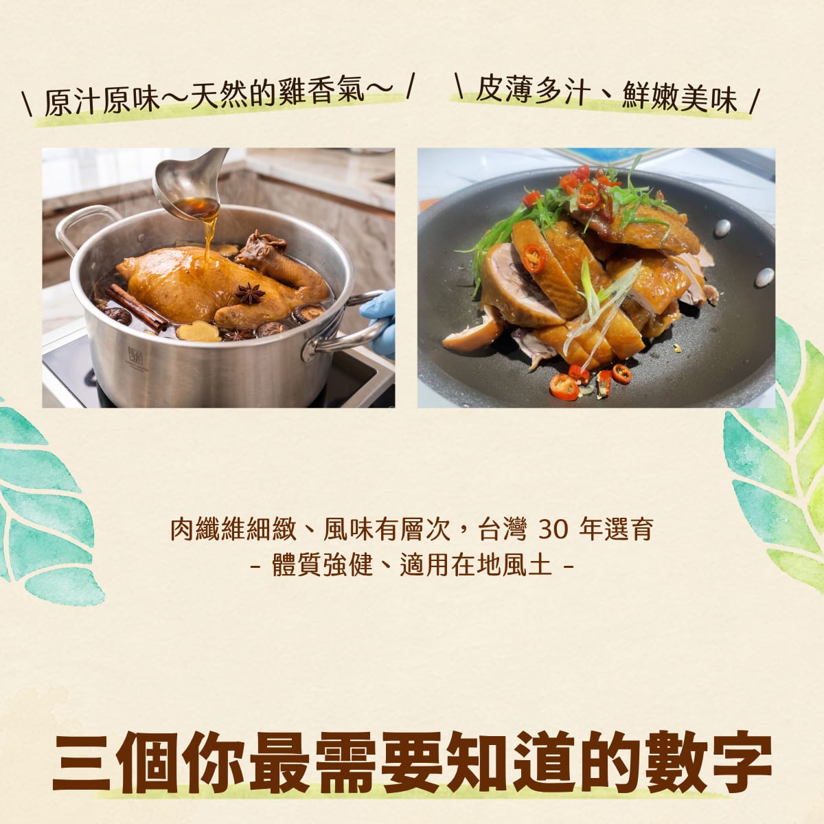 原汁原味～天然的雞香氣～、皮薄多汁鮮嫩美味：肉纖維細緻、風味有層次，台灣 30 年選育，體質強健、適用在地風土。