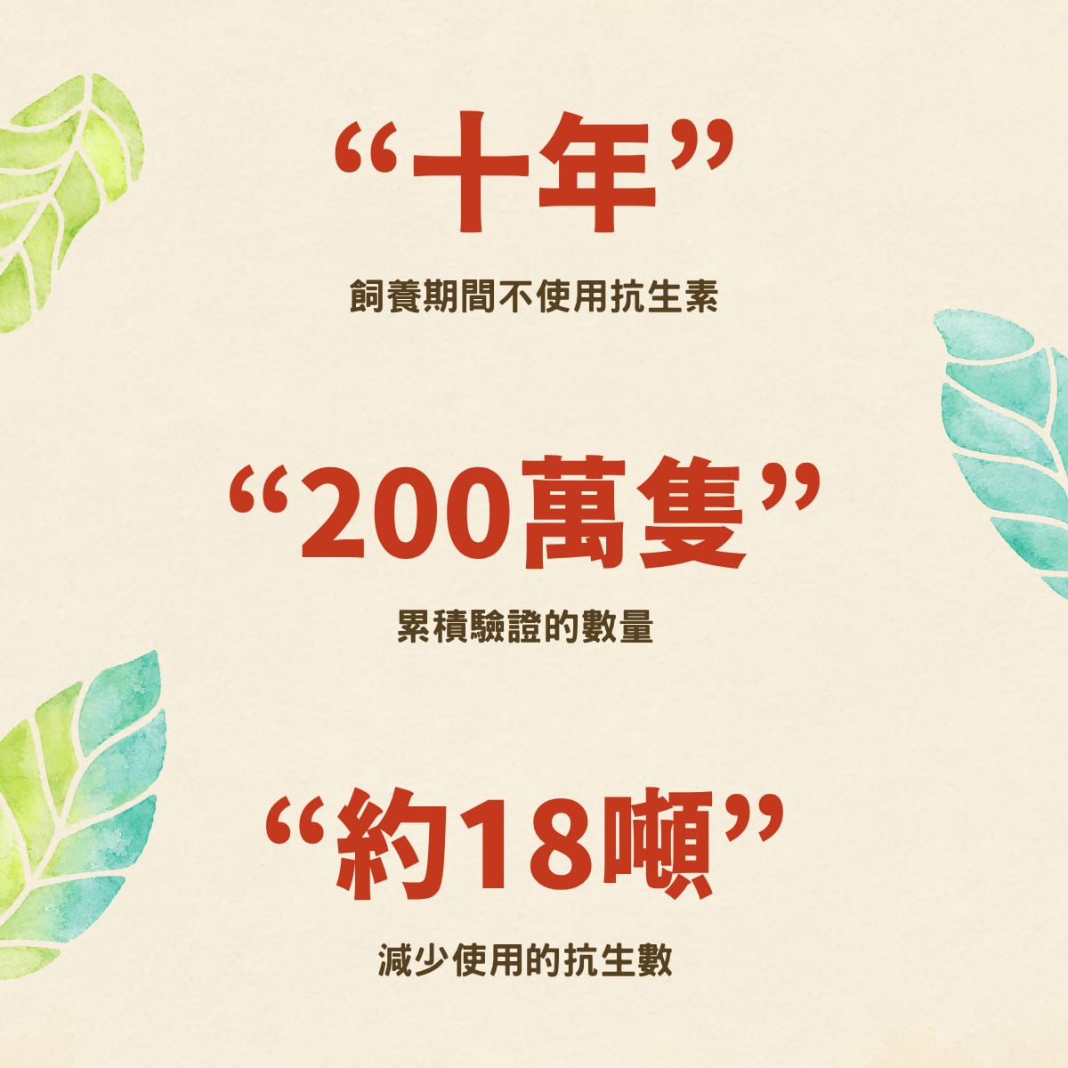 你買的是雞肉，還是抗生素的殘留物？檢驗合格不等於一生純淨。真正的純淨環，不只是檢驗及格，而是從源頭雞舍、飼養、檢驗到餐桌，堅持無抗養殖，生長全程絕不妥協。